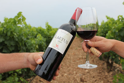 BODEGAS VIÑAS NUEVAS en Aldeanueva de Ebro. Viñedo