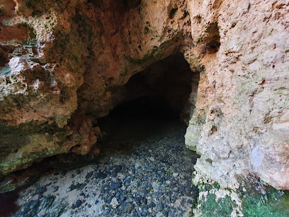 Fuente de la Coveta - Río Vinalopó en Bocairente. Parque ecológico