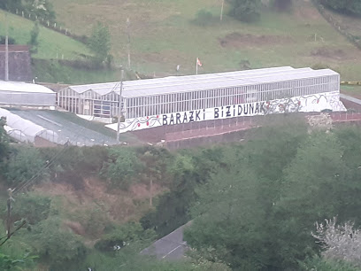 Barazki Bizidunak en Berrobi. Frutería
