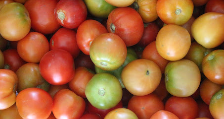Agrieco (asociación de consumidores de alimentos ecológicos) en Alfajarín. Asociación agrícola