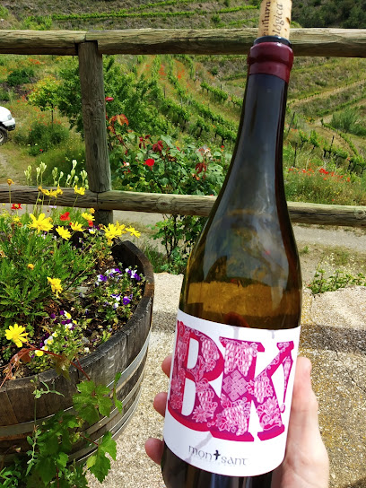 Atavus Priorat en Gratallops. Bodega
