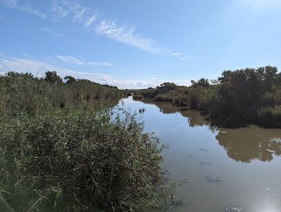 Parc Natural de s'Albufera de Mallorca en Can Picafort. Reserva natural