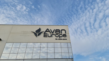 Avan Europe