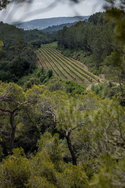 Caves Parés Baltà en Pacs del Penedès. Bodega
