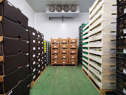 Tienda Ecológica Online - Silvestre Agricultura Ecológica en Meliana. Tienda de alimentos orgánicos