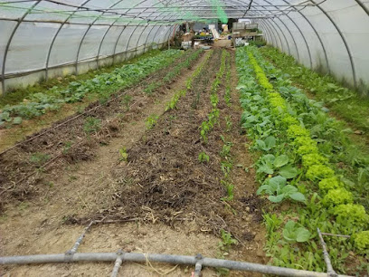 BioBastarri Baserria Zamudio Productos Ecológicos en Bilbao. Mercado de productos del campo