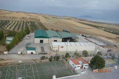 Templeoliva S.C.A. en Ventas de Huelma. Cooperativa de aceite de oliva