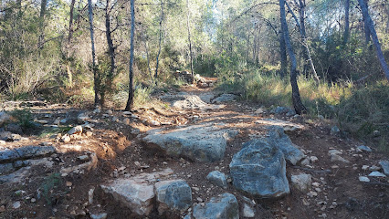 Coto de Izquierdo en Liria. Zona de senderismo