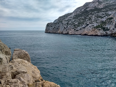 Bioxabia en Jávea. Huerto