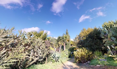 Casita Verde Eivissa en San José. Asociación de ecologistas