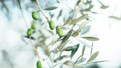 OLEAZARA | Producción de Aceite de Oliva virgen extra. Productos naturales y sostenibles. en Cadrete. Tienda de alimentos naturales