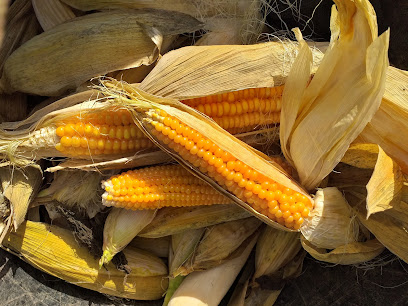 A MILPA DO SALNÉS en Meaño. Cooperativa agropecuaria