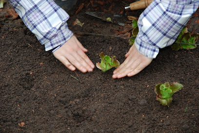 OGEA Asociación Educación Ambiental en Burgos. Asociación de ecologistas
