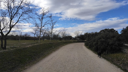 Dehesa de San Sebastián de los Reyes en San Sebastián de los Reyes. Parque ecológico