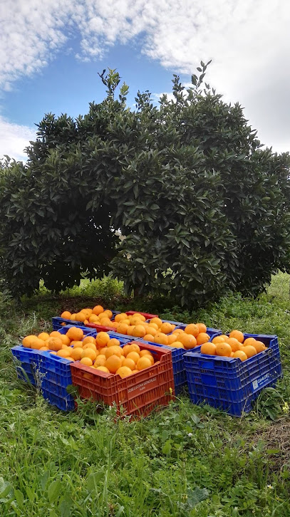 Biocadiz.com en Castellar de la Frontera. Tienda de alimentos naturales