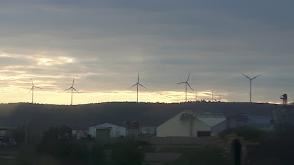 NOALLES Y BALANZÁ S.A. en Carrascosa del Campo. Comercio