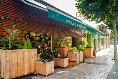 Ambiente Floral en Alfaz del Pi. Floristería