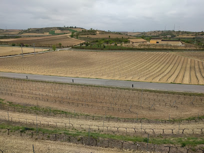 Bodegas Marqués de Terán en Ollauri. Bodega