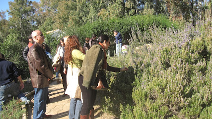 Jardin Botanico El ROBLEDO en Constantina. Jardín botánico