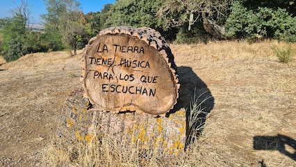 Monte De Babilafuente en Babilafuente. Zona de senderismo