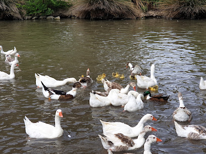 Parque De Los Patos en Burguillos de Toledo. Parque