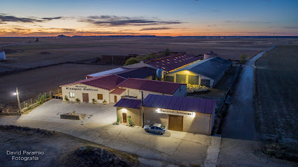 Quesos Campos Góticos en Villerías de Campos. Tienda de productos lácteos