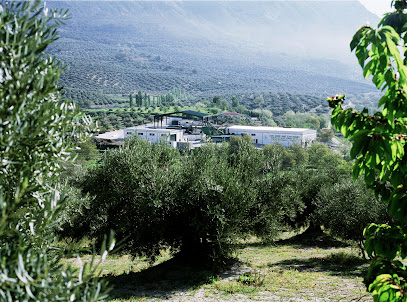 San Isidro SCA en Valdepeñas de Jaén. Cooperativa de aceite de oliva
