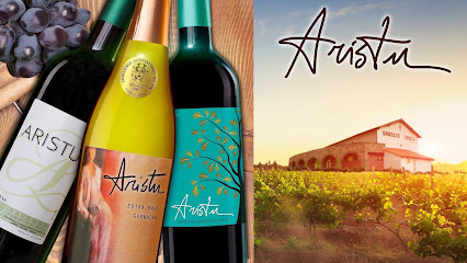 Bodegas Aristu en Lumbier. Bodega