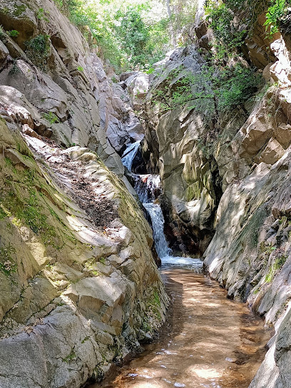 Salto de la Dona d'Aigua en Arbúcies. Reserva natural