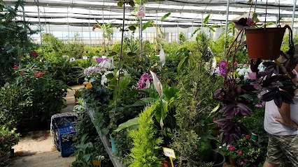 VIVERPLANT SURRAC BENICARLO GARDEN en Benicarló. Vivero