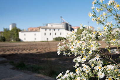 Harinas Saiz en Cuenca. Suministro y fabricación de alimentos
