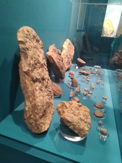 Museo Mares Paleozóicos Santa Cruz de Nogueras en Santa Cruz de Nogueras. Museo