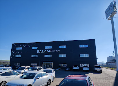 BALAM Agriculture | Plantaciones