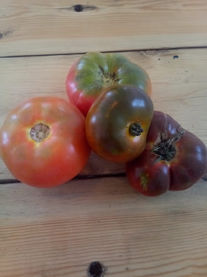El Chopo Venta Directa Productos De La Huerta en El Puerto de Sta María. Huerto