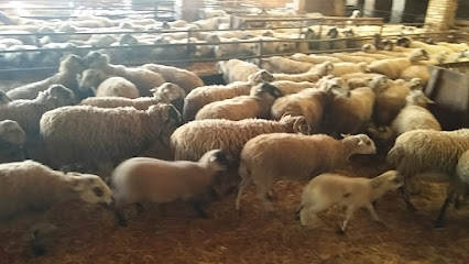 Productes Ecològics Puig d'Aguilera en Òdena. Granja