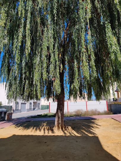 Plaza natural 'El sauce' en Fuente Vaqueros. Parque ecológico