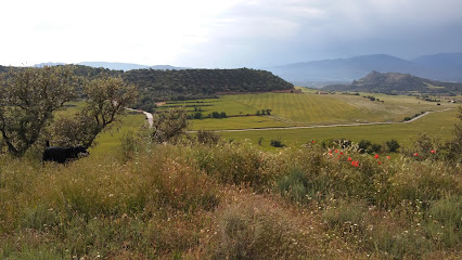 Cal Petit en Alentorn. Servicio agrícola