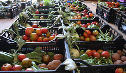VERDOLAGA en Corró d'Avall. Tienda de alimentación