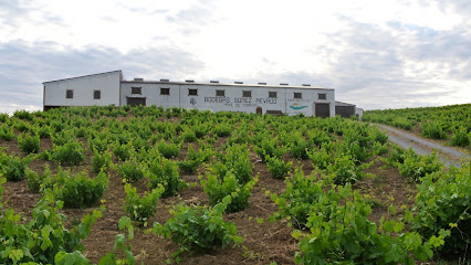Bodegas Gómez Nevado S.L. en Villaviciosa de Córdoba. Bodega