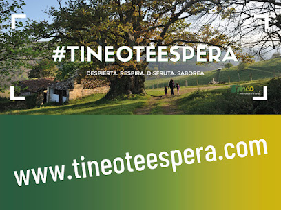 Oficina de Turismo de Tineo en Tineo. Centro de información turística