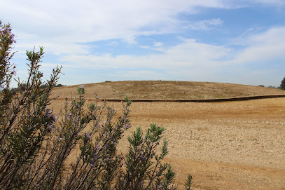 Dolmen de Soto de Trigueros en Trigueros. Lugar de interés histórico