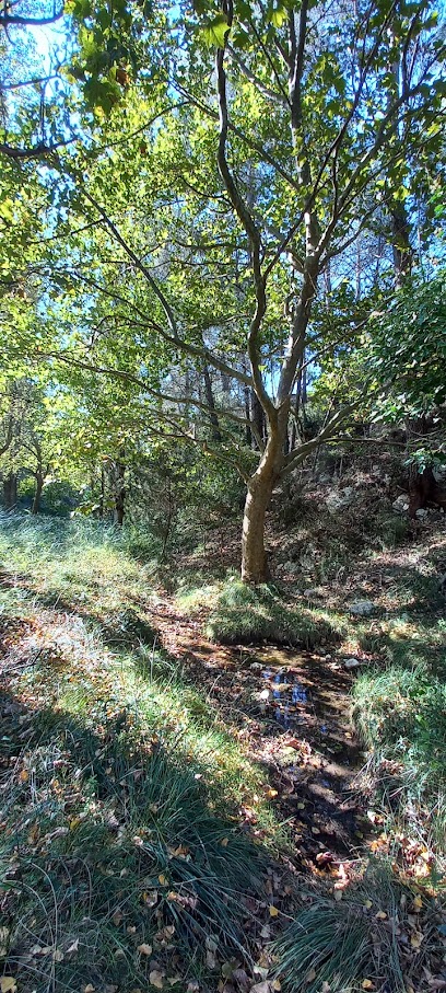 Font de l'argent en Rosell. Fuente de agua potable