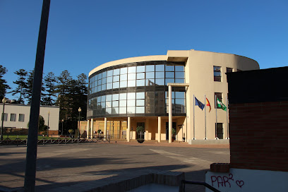 Ayuntamiento de La Línea de la Concepción en La Línea de la Concepción. Ayuntamiento de la localidad