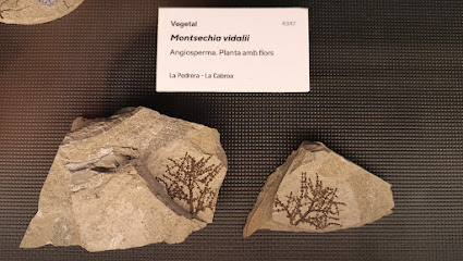 Centre d'Interpretació del Montsec en Vilanova de Meià. Museo