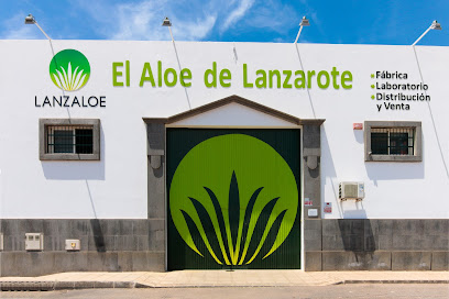 Lanzaloe en Playa Honda. Fábrica