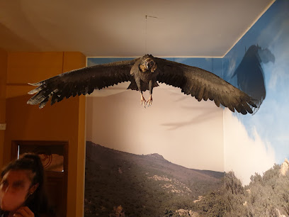 Centro De Interpretación De La Naturaleza en Jarque. Museo