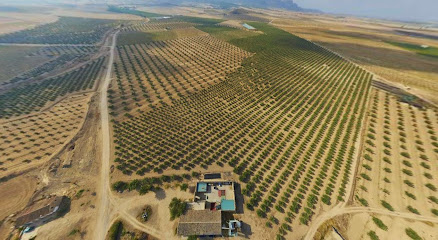 Almazara Casa Pareja en Jumilla. Tienda de alimentos naturales