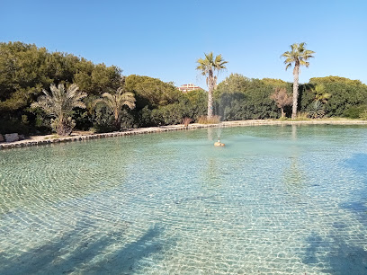 Parque del Molino de Agua en Torrevieja. Parque local