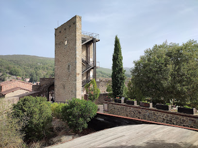 El Castillo de la Biosfera en San Martín del Castañar. Museo