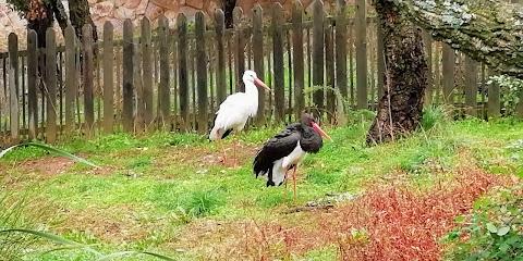 Centro de Recuperación de Fauna y Educación Ambiental 'Los Hornos'. Junta de Extremadura. en Sierra de Fuentes. Oficina de la Administración